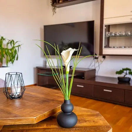 Nekic Apartman Posedarje