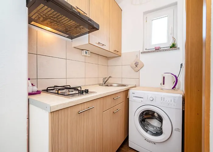 Nekic 아파트 포세다르예