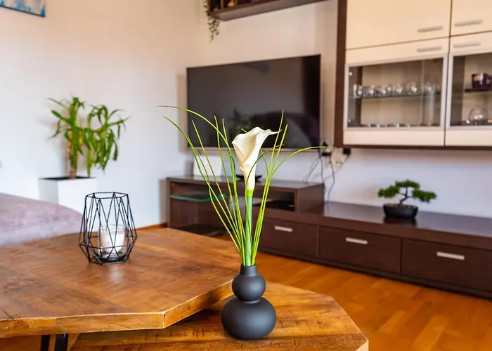 Nekic 아파트 포세다르예