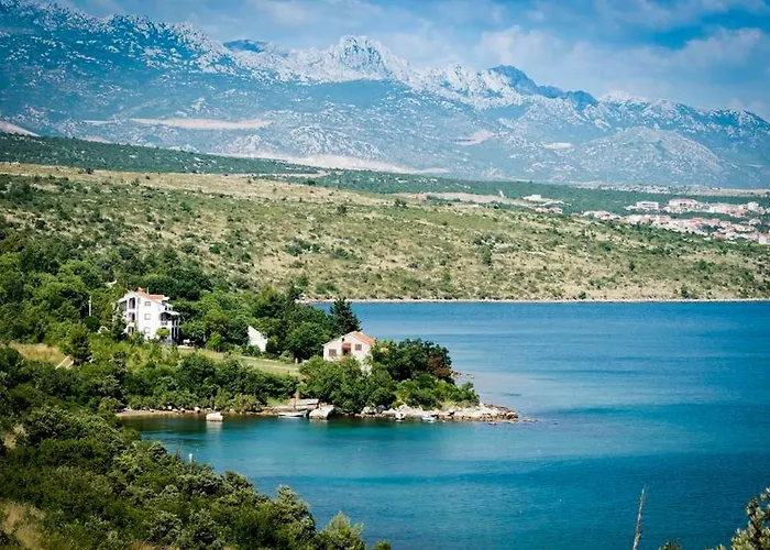 Nekic 아파트 포세다르예